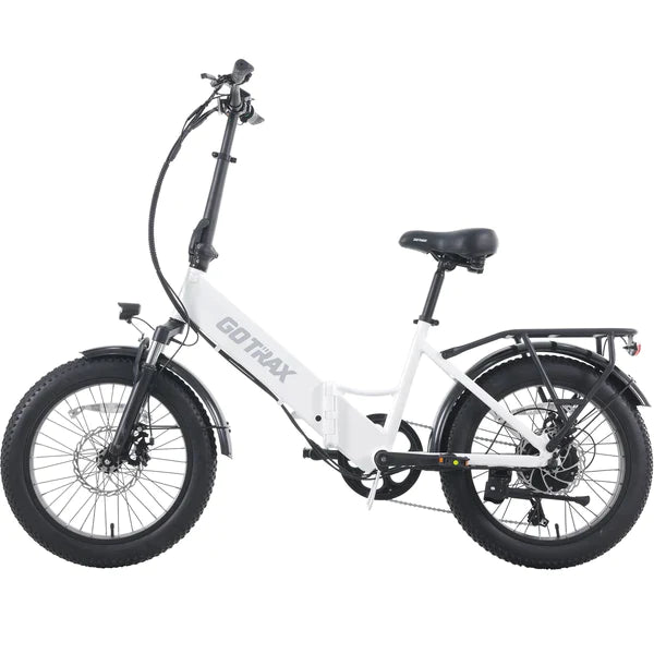 F2 Electric Bike